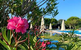 Calilla Home - Appartamento Maestrale